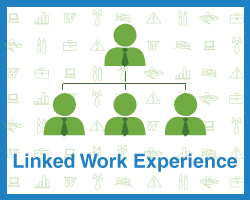 programmes Linked Work Experience